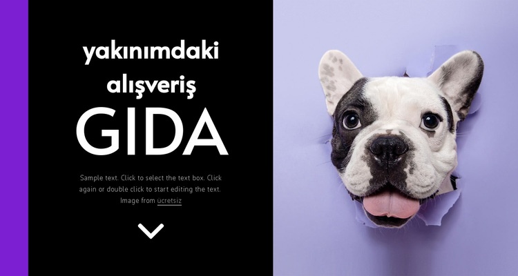 Köpek maması Web sitesi tasarımı
