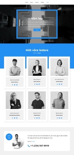De Bästa Ingenjörerna - Kreativ Mångsidig Webbplatsdesign