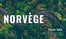 Voyage En Norvège - Superbe Créateur De Site Web