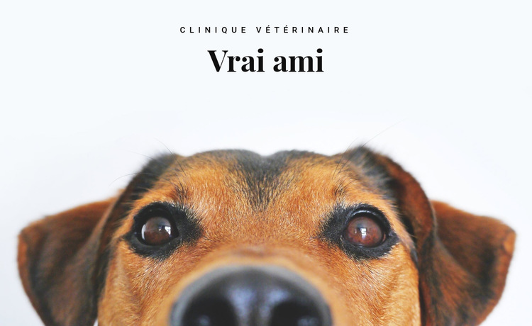 Clinique vétérinaire pour animaux Modèle de site Web