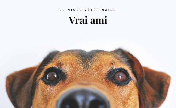 Clinique vétérinaire pour animaux Page de destination