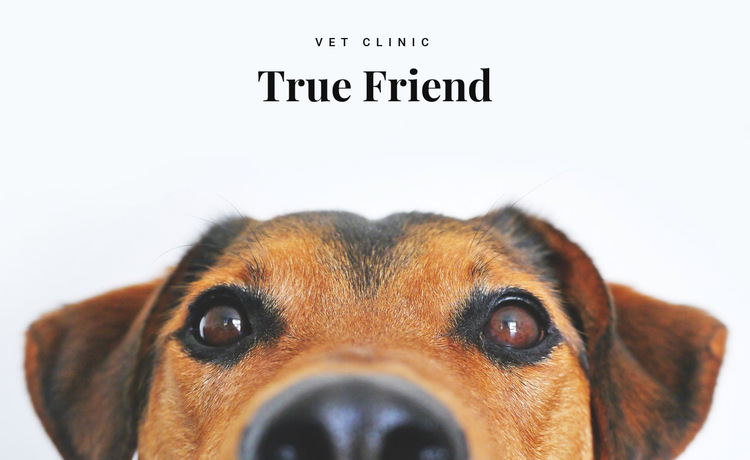 Animals vet clinic  HTML5 Template