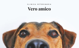 Clinica Veterinaria Per Animali