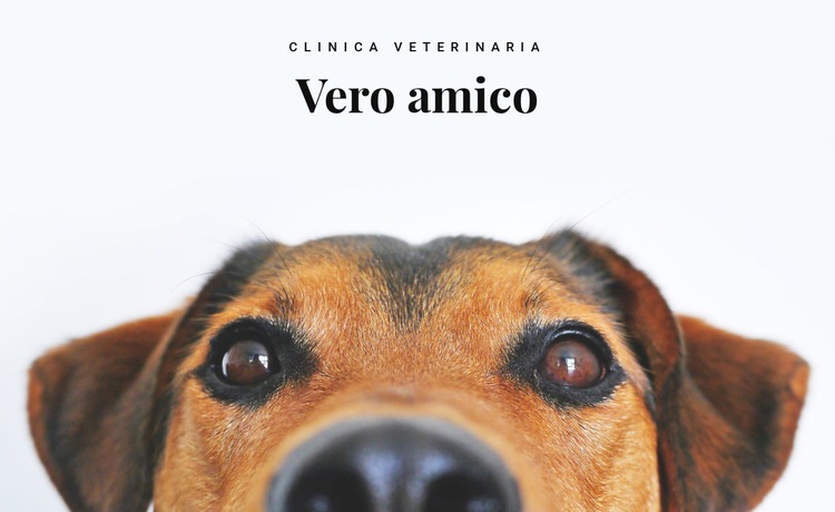 Clinica veterinaria per animali Mockup del sito web