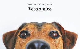 Clinica Veterinaria Per Animali - Modello Di Pagina HTML