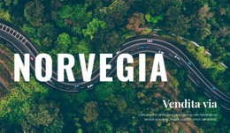 Modello HTML5 Premium Per Viaggio In Norvegia