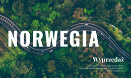 Witryna WordPress Dla Podróżuj Po Norwegii