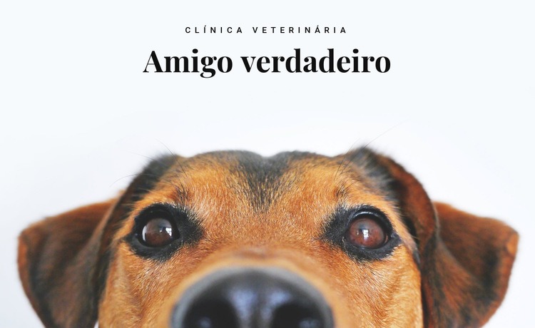 Clínica veterinária de animais Maquete do site