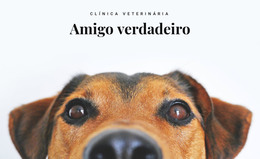 Clínica Veterinária De Animais - Modelo De Página HTML