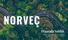Norveç'Te Seyahat Için Sayfa Web Sitesi