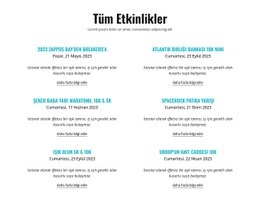 Tüm Devam Eden Etkinlikler