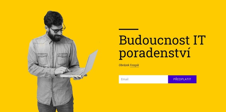 Poradenství pro budoucnost Téma WordPress