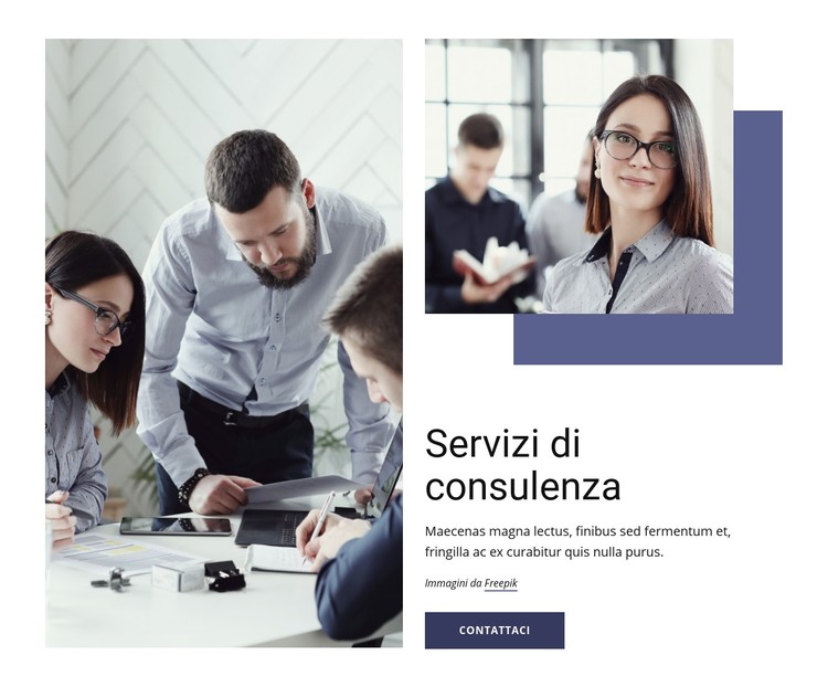 Marketing, organizzazione, operazioni Modello CSS