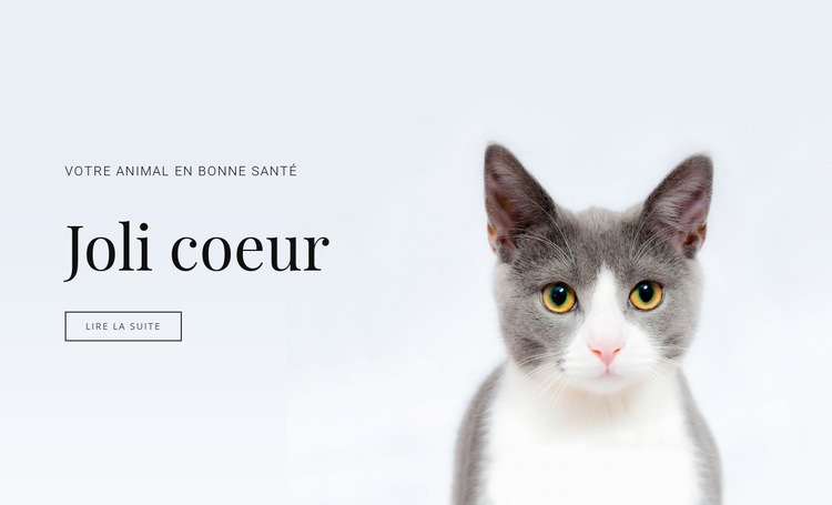 Soins des animaux domestiques Conception de site Web