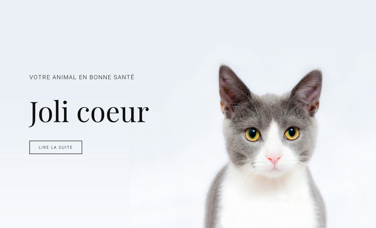 Soins des animaux domestiques Modèle CSS