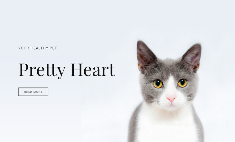 Domestic animals care Homepage Design
