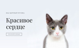 Уход За Домашними Животными – Базовый HTML-Шаблон