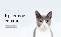 Уход За Домашними Животными Адаптивный Шаблон HTML5