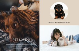 Pet Love Store Template