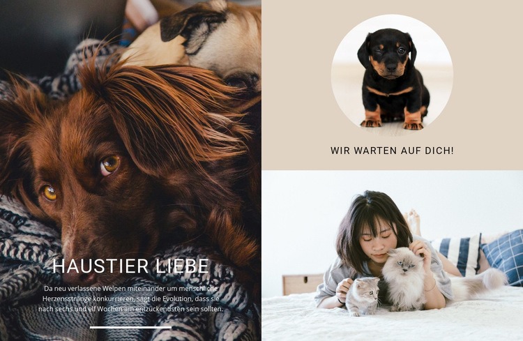 Haustier Liebe Website design