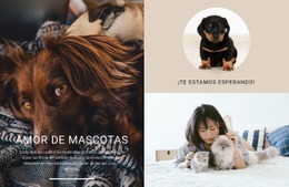 Amor De Mascota - Descarga Gratuita De Plantilla HTML5