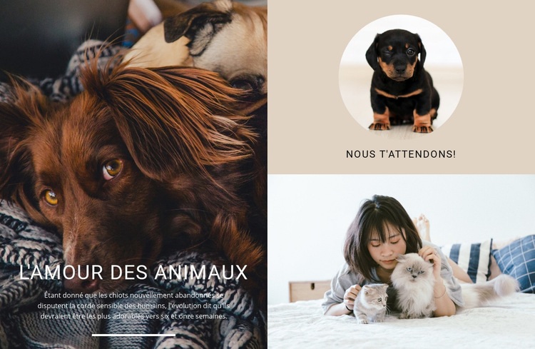 amour pour animaux de compagnie Créateur de site Web HTML