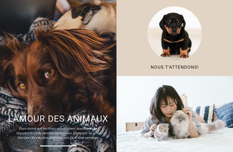 amour pour animaux de compagnie Modèle CSS