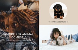 Amore Per Animali Domestici - HTML Web Page Builder