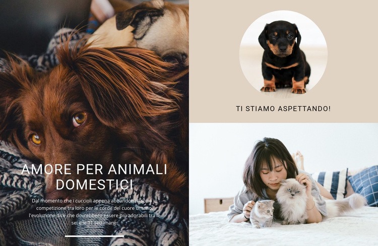 amore per animali domestici Costruttore di siti web HTML
