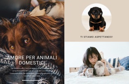 Amore Per Animali Domestici - Modello Personalizzabile