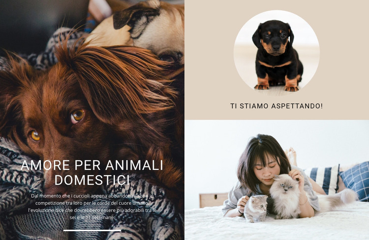 amore per animali domestici Modello HTML