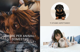Amore Per Animali Domestici - Modello Di Sito Web Semplice