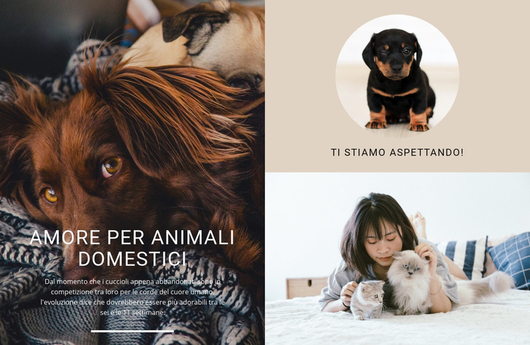amore per animali domestici Tema WordPress