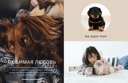 Домашняя Любовь Шаблон Магазина