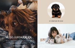 Husdjurskärlek - Enkel Webbplatsmall