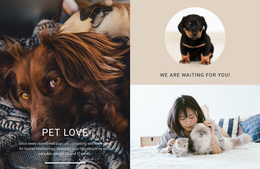 Pet Love - Responsive Design