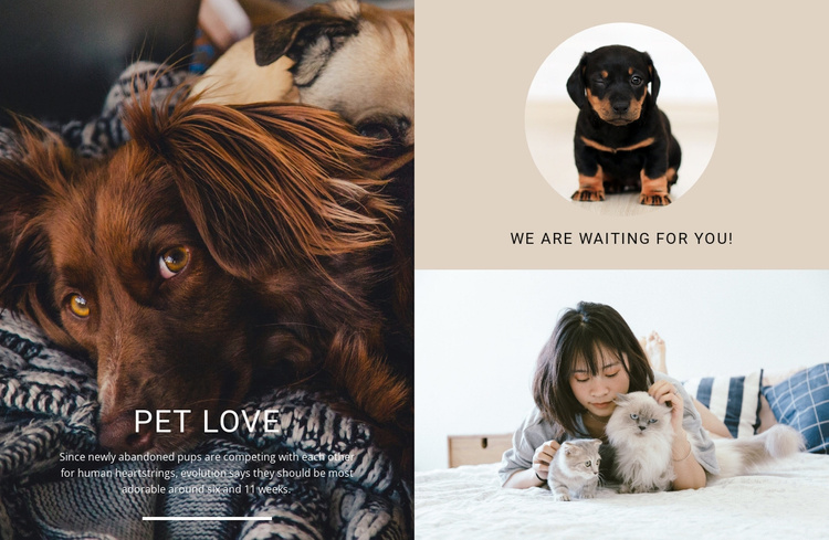 pet love Website Template