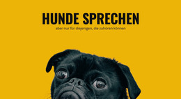 Pflege Für Reaktive Hunde - Vorlagen Website-Design