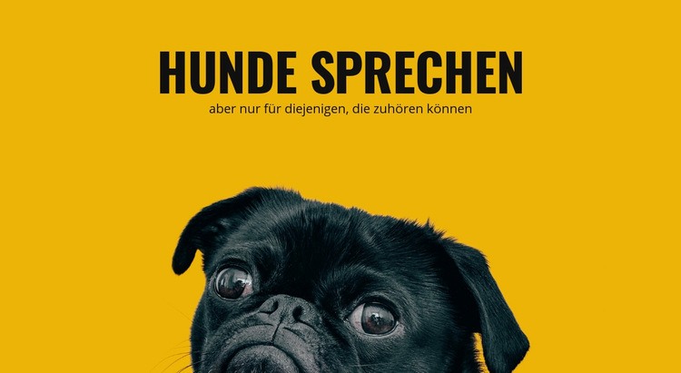 Pflege für reaktive Hunde Website Builder-Vorlagen