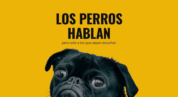 Cuidado de perros reactivos Creador de sitios web HTML