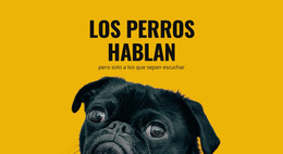 Un Diseño De Sitio Web Exclusivo Para Cuidado De Perros Reactivos