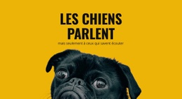 Prendre Soin Des Chiens Réactifs - HTML Designer