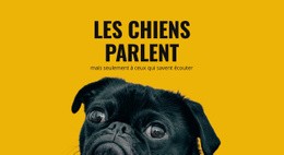 Sections De La Page D'Accueil Pour Prendre Soin Des Chiens Réactifs