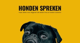 Websitemodel Voor Zorg Voor Reactieve Honden