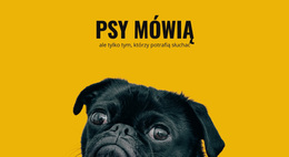 Opieka Nad Reaktywnymi Psami - Kreatywny