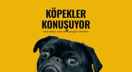 Reaktif Köpeklerin Bakımı - Kullanımı Kolay Açılış Sayfası