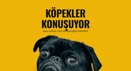 Reaktif Köpeklerin Bakımı - Şablonlar Web Sitesi Tasarımı
