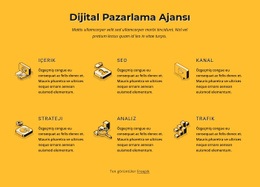SEO Hizmeti Danışmanlığı Çok Amaçlı Site Tasarımı
