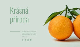 Neobvyklé Ovoce – Šablona Webových Stránek Ke Stažení Zdarma