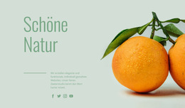 Ungewöhnliche Früchte Joomla Vorlage